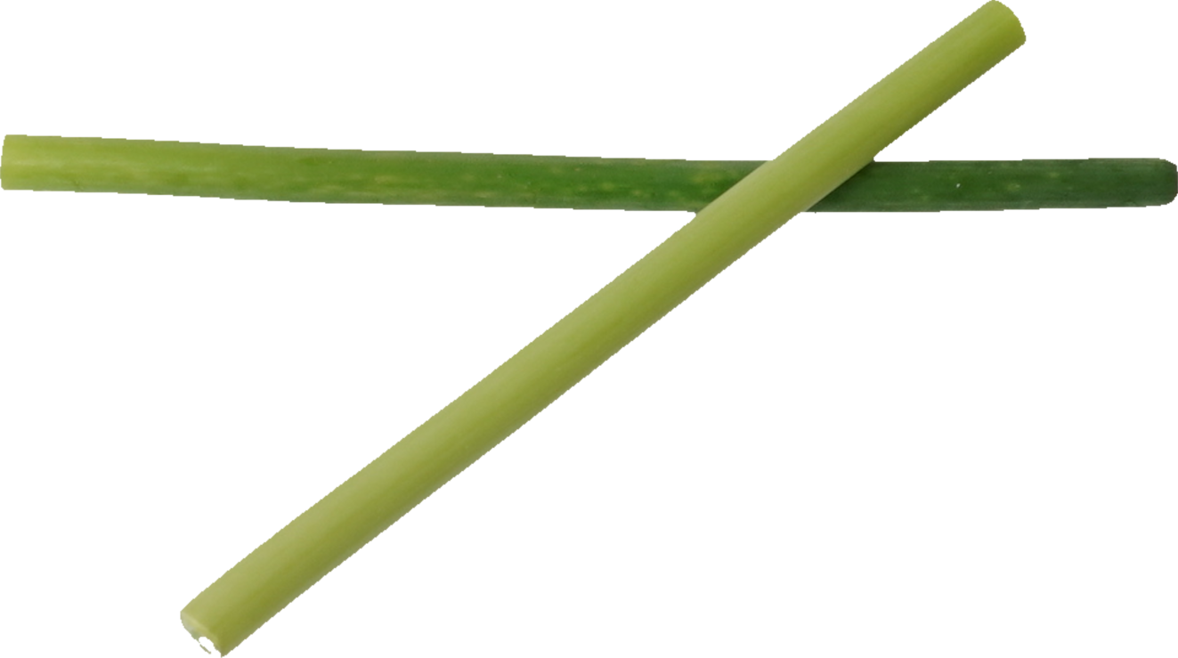 にんにくの芽｜商用可フリー画像・背景透過