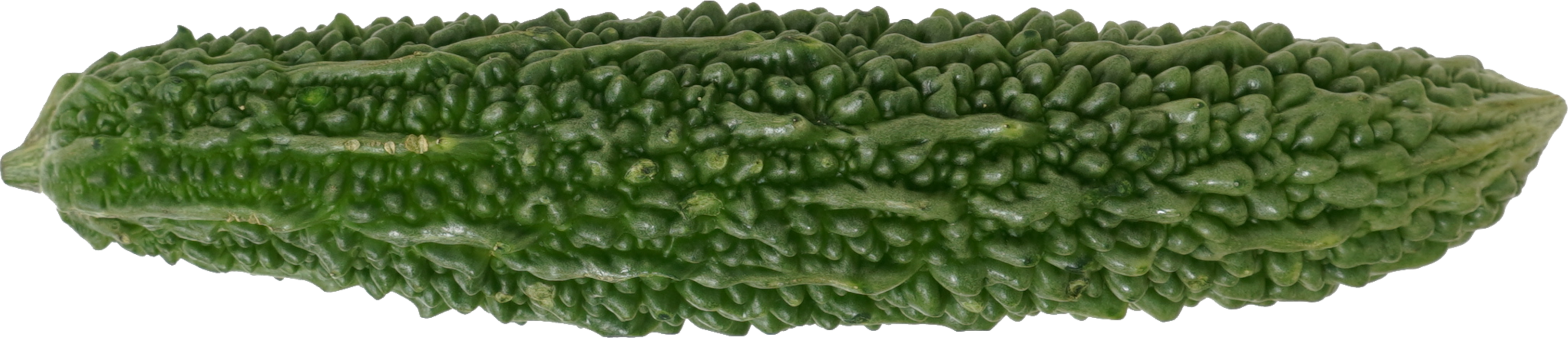 ゴーヤ｜商用可フリー画像・背景透過