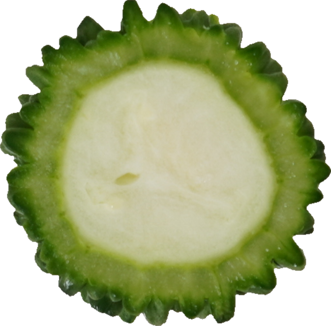 ゴーヤ｜商用可フリー画像・背景透過