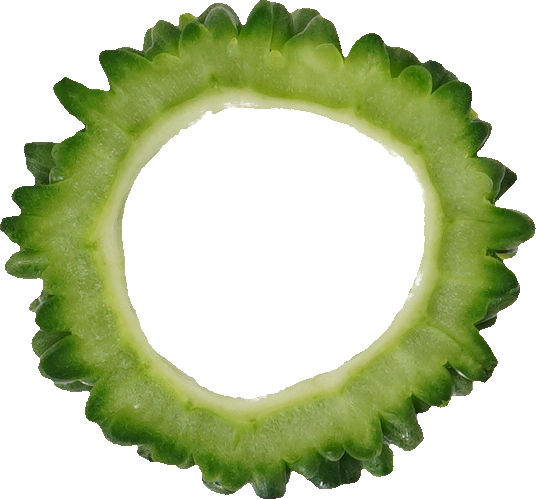 ゴーヤ｜商用可フリー画像・背景透過