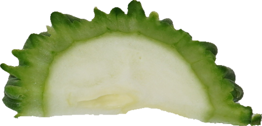 ゴーヤ｜商用可フリー画像・背景透過