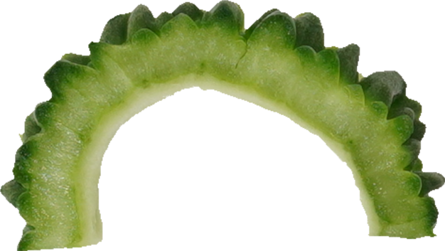 ゴーヤ｜商用可フリー画像・背景透過