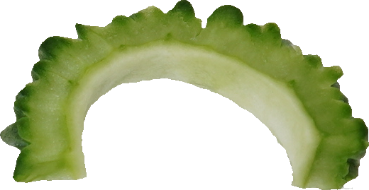 ゴーヤ｜商用可フリー画像・背景透過