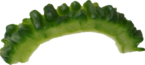 ゴーヤ｜商用可フリー画像・背景透過