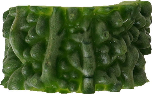 ゴーヤ｜商用可フリー画像・背景透過