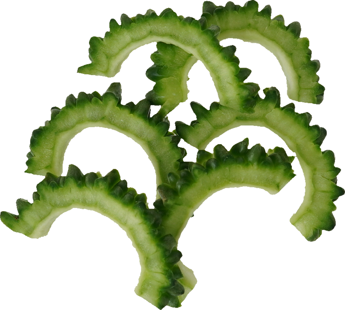 ゴーヤ｜商用可フリー画像・背景透過