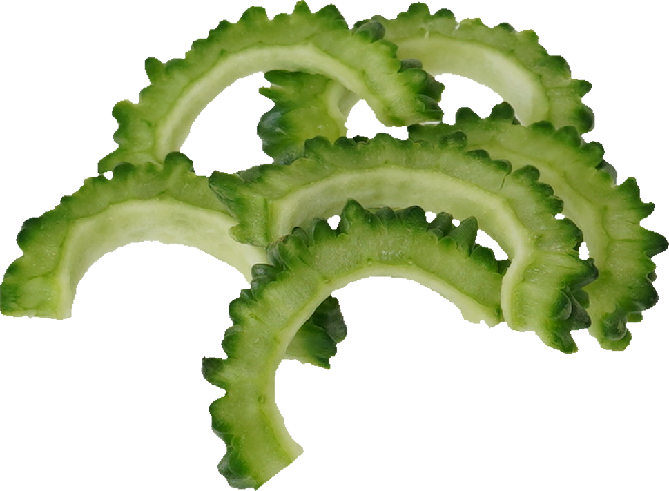 ゴーヤ｜商用可フリー画像・背景透過