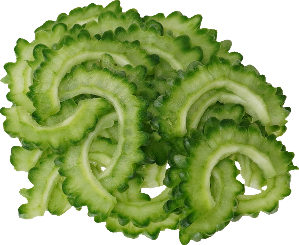 ゴーヤ｜商用可フリー画像・背景透過