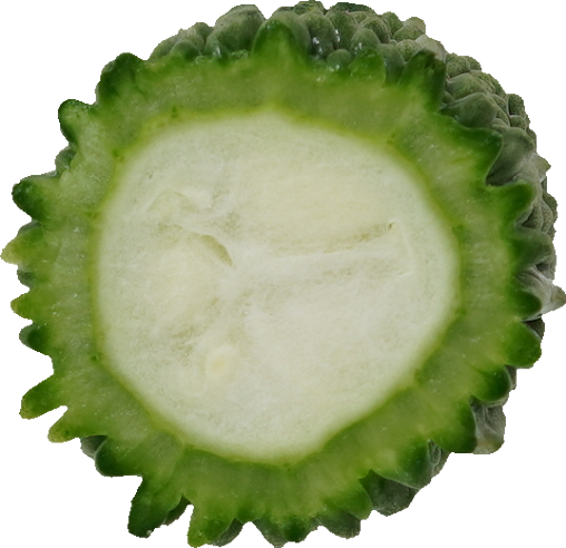 ゴーヤ｜商用可フリー画像・背景透過