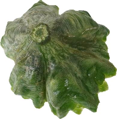 ゴーヤ｜商用可フリー画像・背景透過