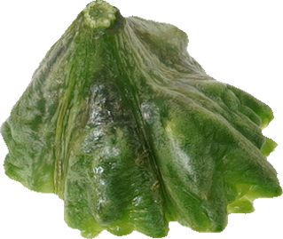 ゴーヤ｜商用可フリー画像・背景透過