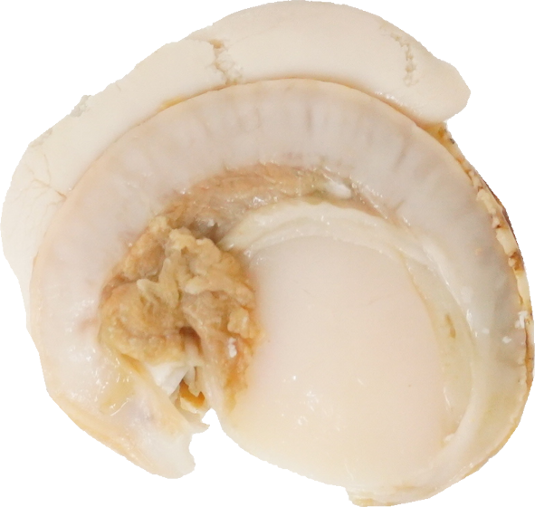 ほたてがい｜商用可フリー画像・背景透過