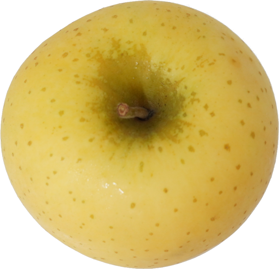 りんご（しなのゴールド）｜商用可フリー画像・背景透過