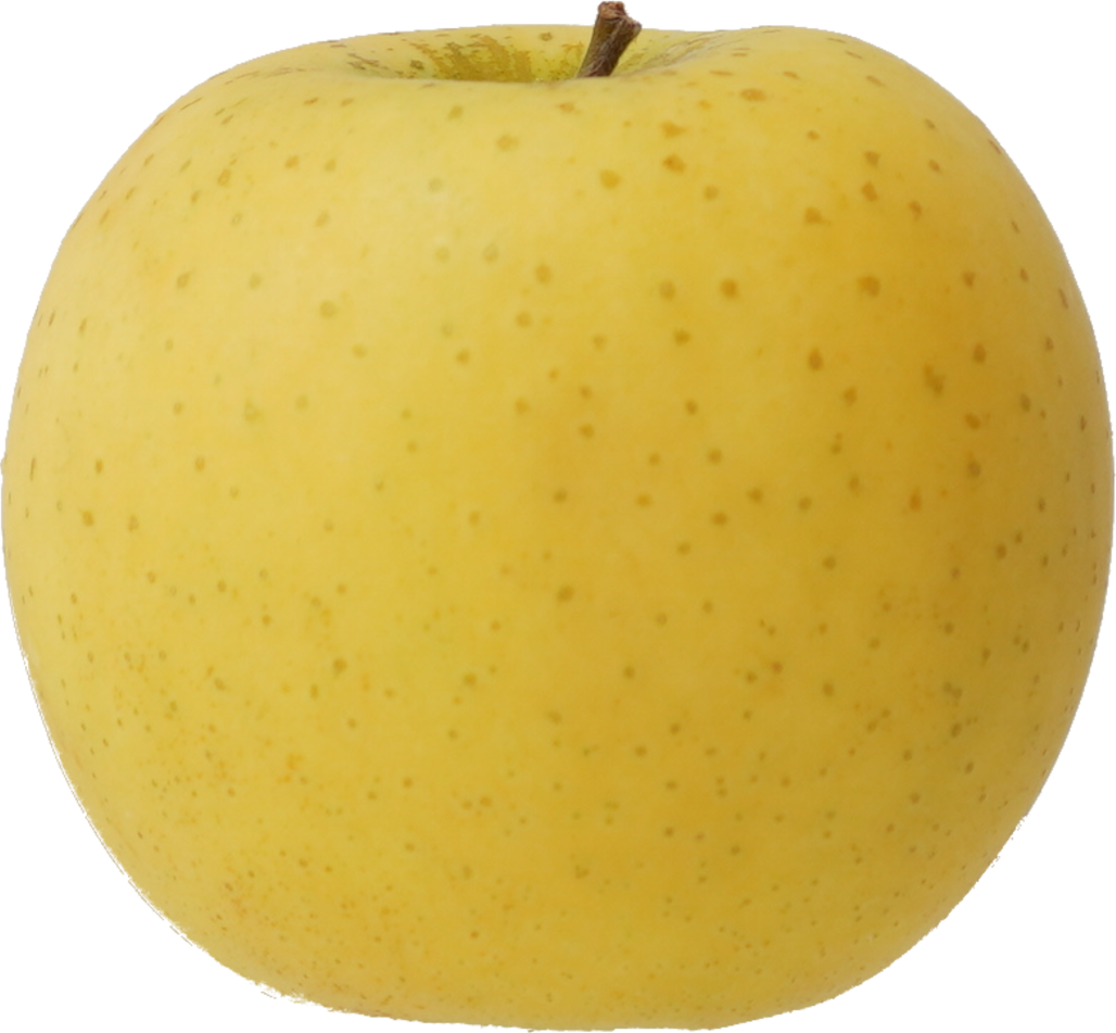 りんご（しなのゴールド）｜商用可フリー画像・背景透過