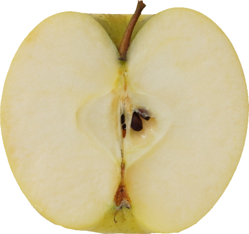 りんご（しなのゴールド）｜商用可フリー画像・背景透過