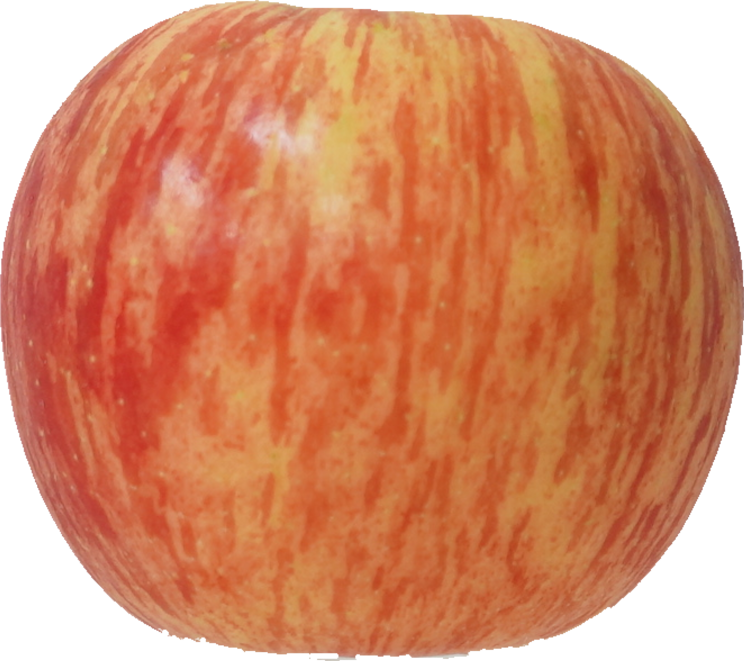 りんご（ふじ）｜商用可フリー画像・背景透過