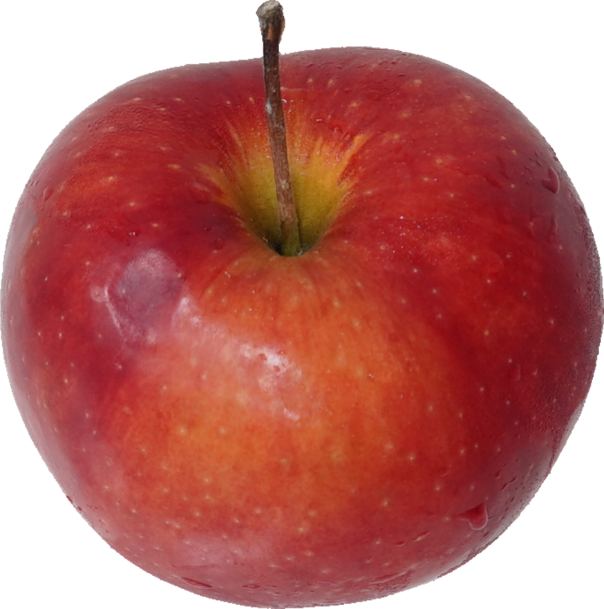 りんご（ジョナゴールド）｜商用可フリー画像・背景透過