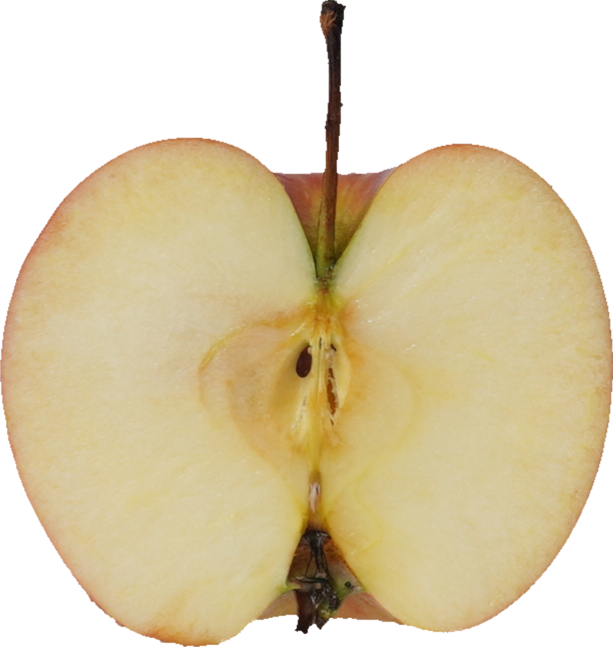 りんご（ジョナゴールド）｜商用可フリー画像・背景透過
