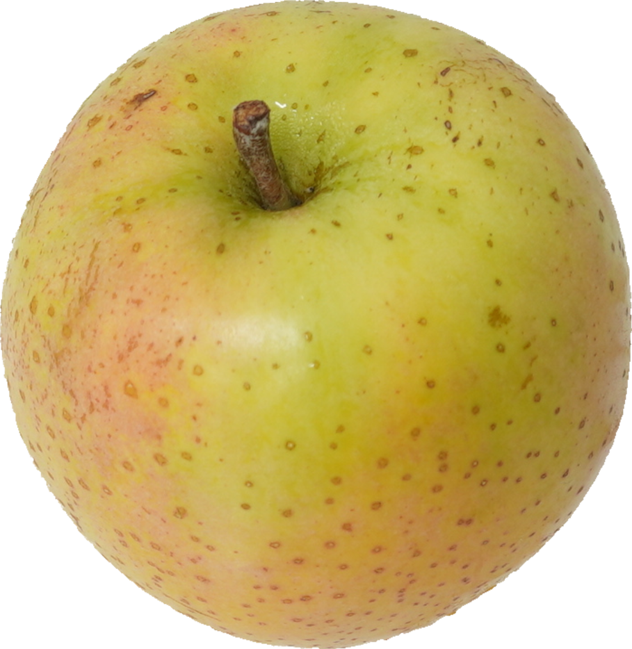 りんご（王林）｜商用可フリー画像・背景透過