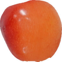 さくらんぼ（佐藤錦）｜商用可フリー画像・背景透過