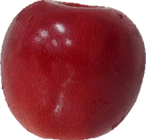 さくらんぼ（佐藤錦）｜商用可フリー画像・背景透過