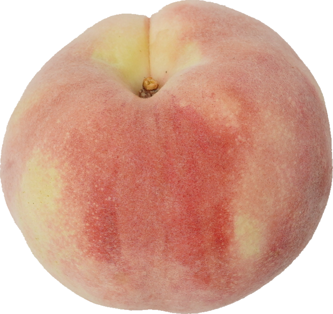 もも｜商用可フリー画像・背景透過