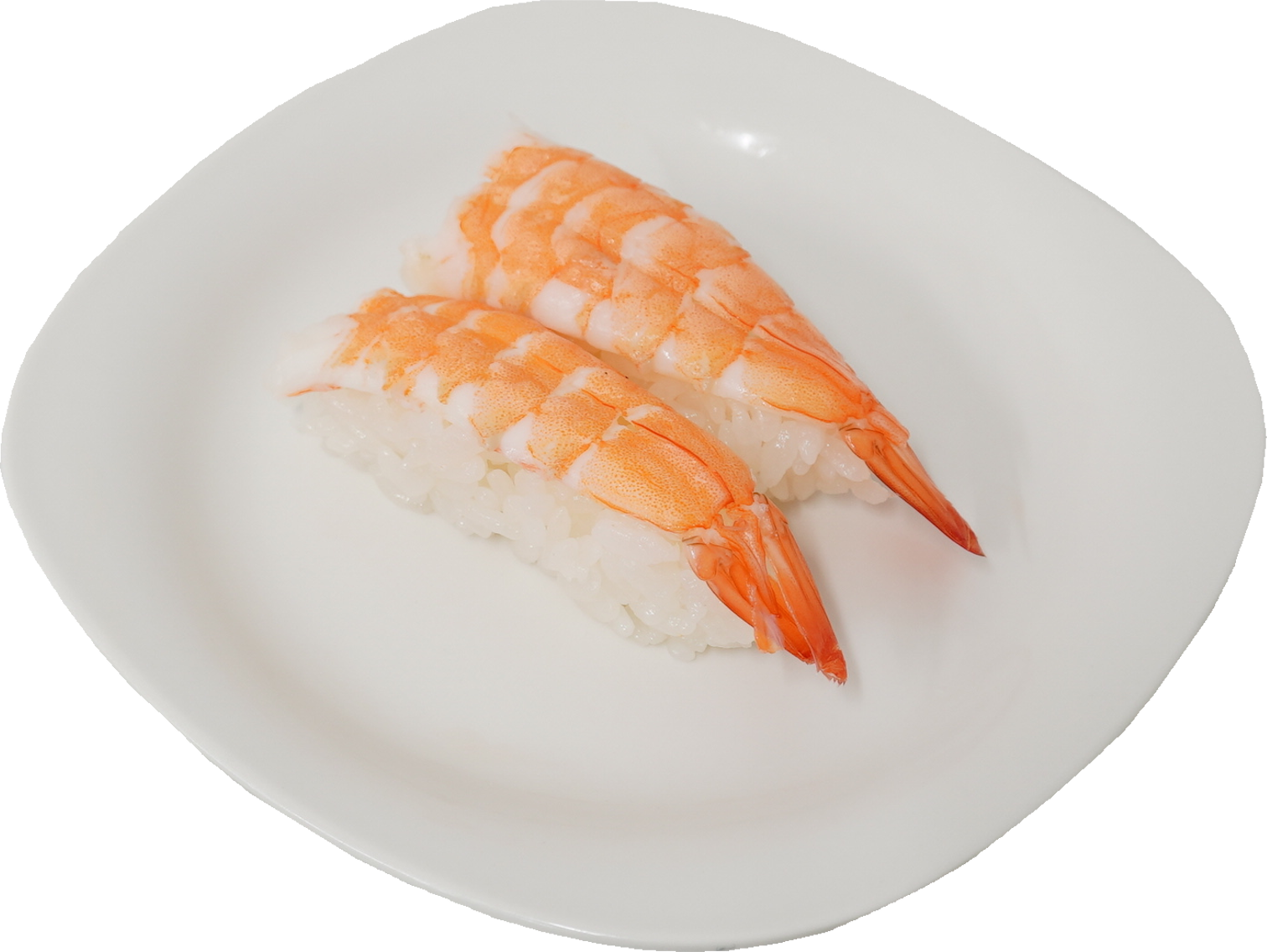 寿司（えび）｜商用可フリー画像・背景透過