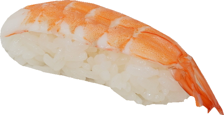 寿司（えび）｜商用可フリー画像・背景透過