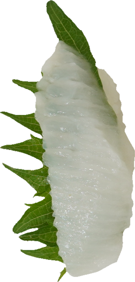 寿司（えんがわ）｜商用可フリー画像・背景透過