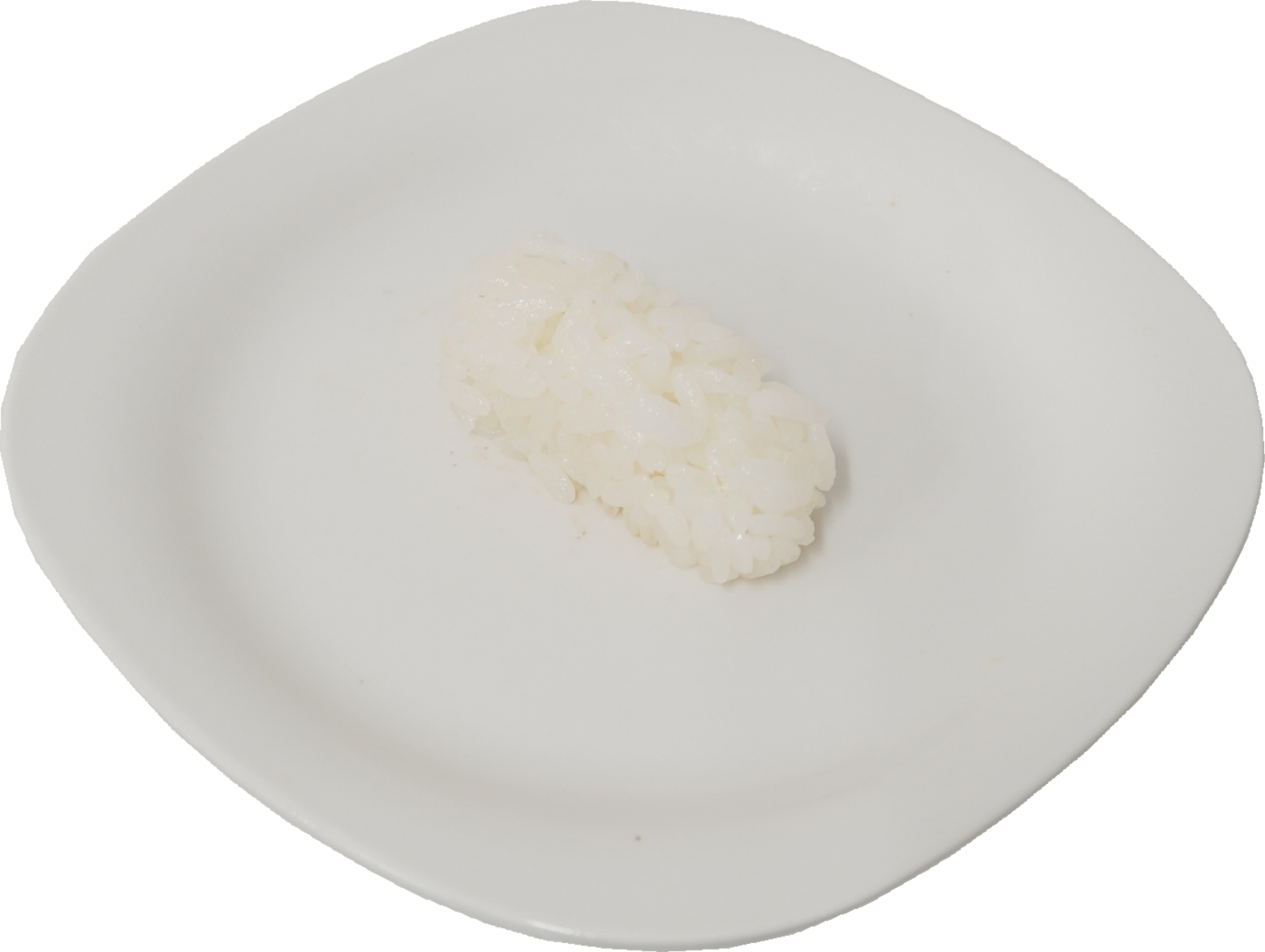 寿司（しゃり）｜商用可フリー画像・背景透過