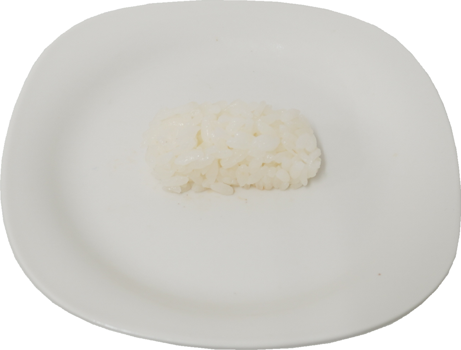 寿司（しゃり）｜商用可フリー画像・背景透過