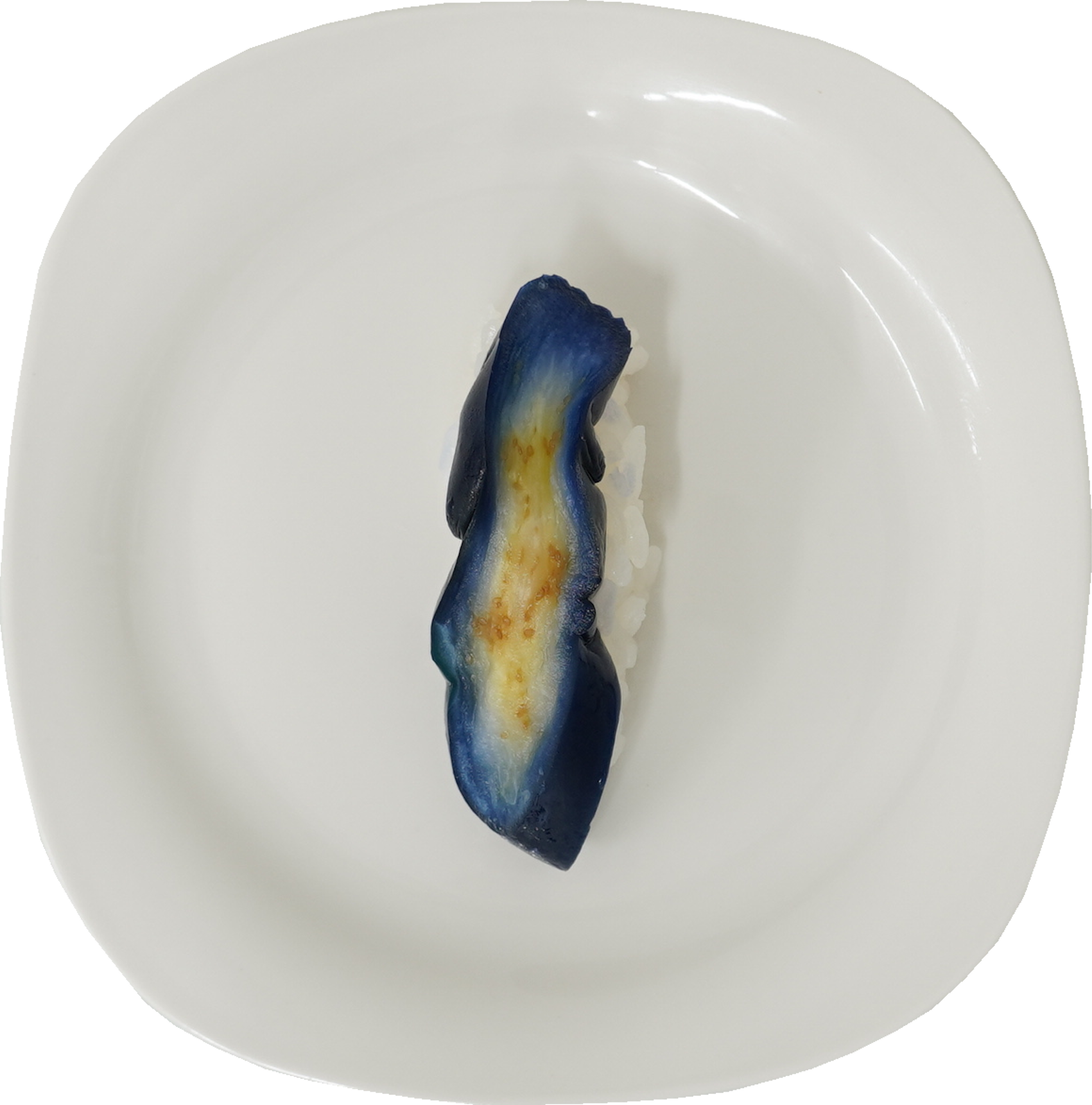 寿司（なす）｜商用可フリー画像・背景透過