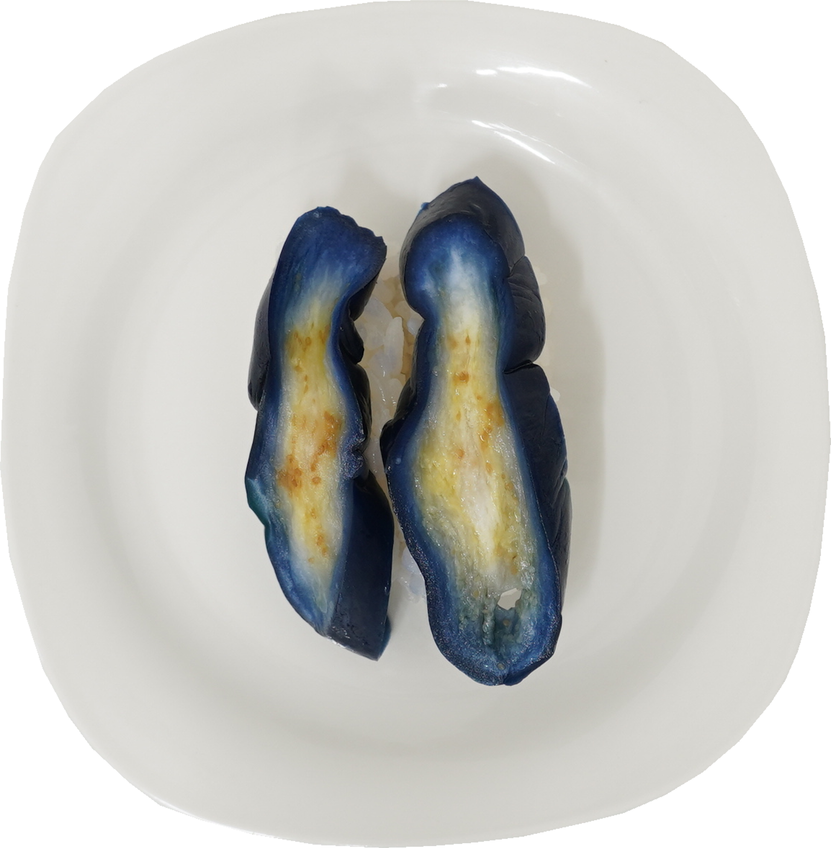 寿司（なす）｜商用可フリー画像・背景透過