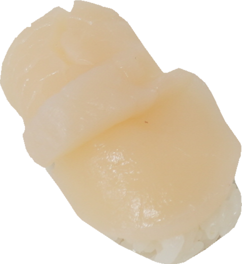 寿司（ほたて）｜商用可フリー画像・背景透過