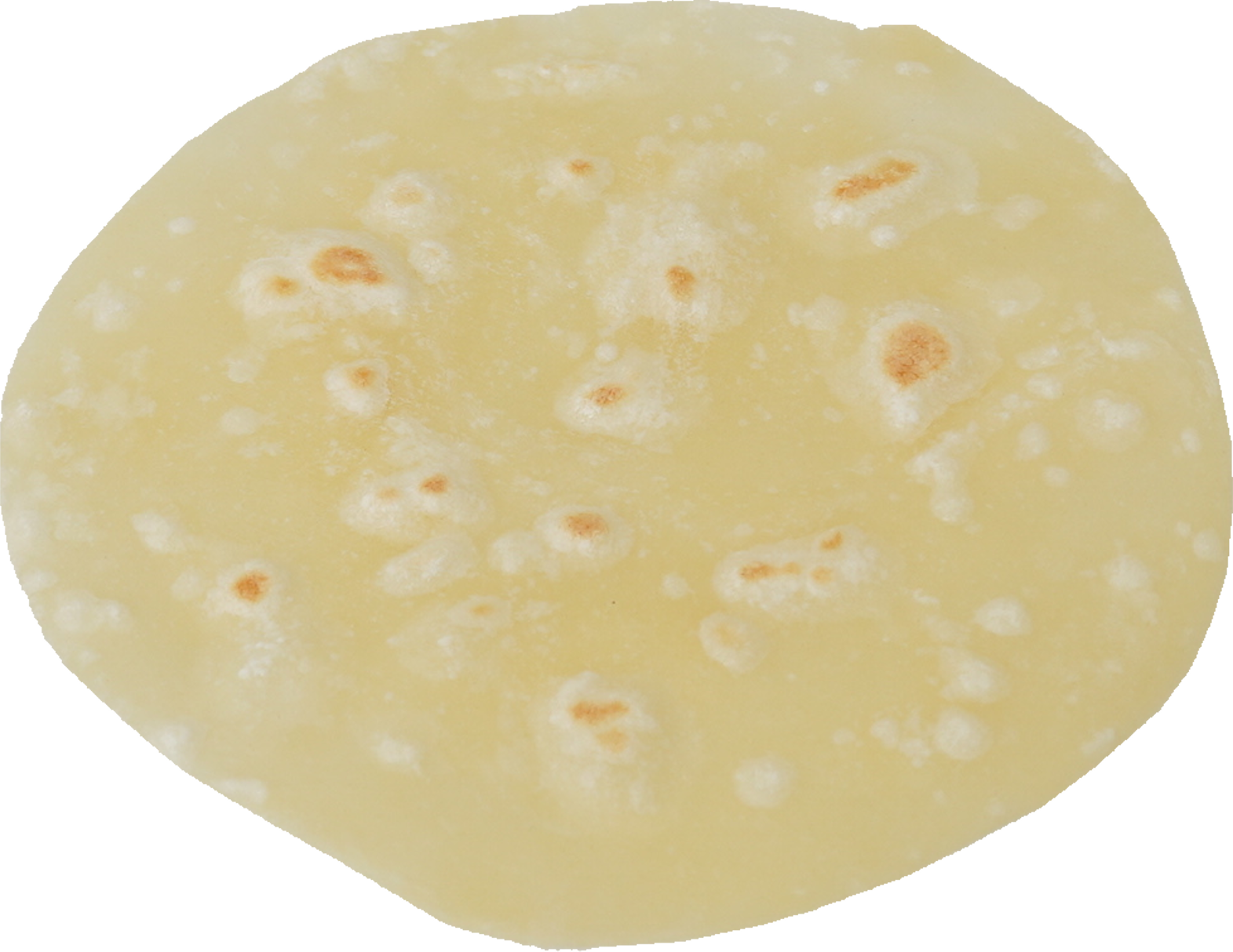 トルティーヤ｜商用可フリー画像・背景透過