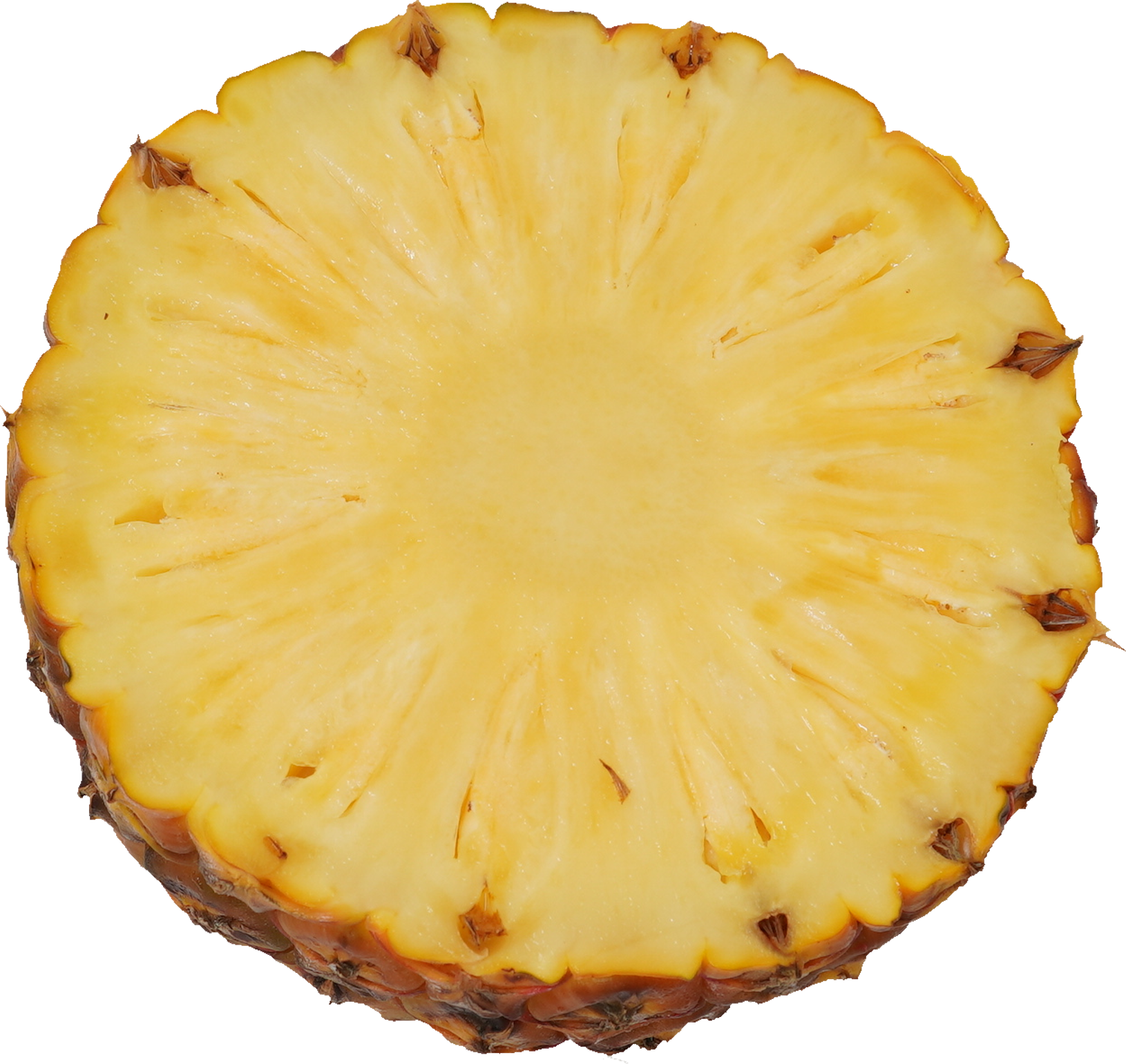 パインアップル（ゴールドバレル）｜商用可フリー画像・背景透過
