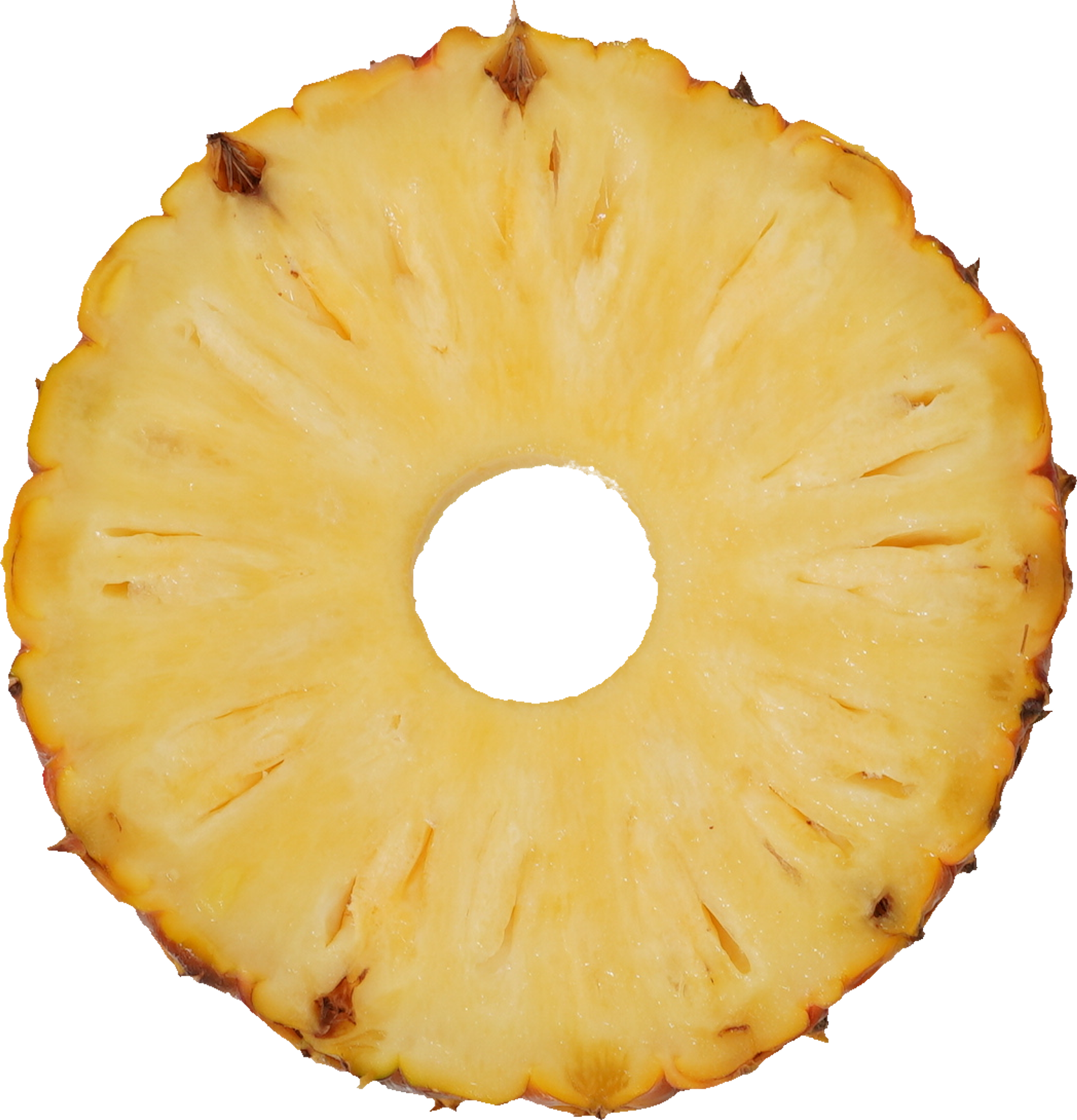 パインアップル（ゴールドバレル）｜商用可フリー画像・背景透過