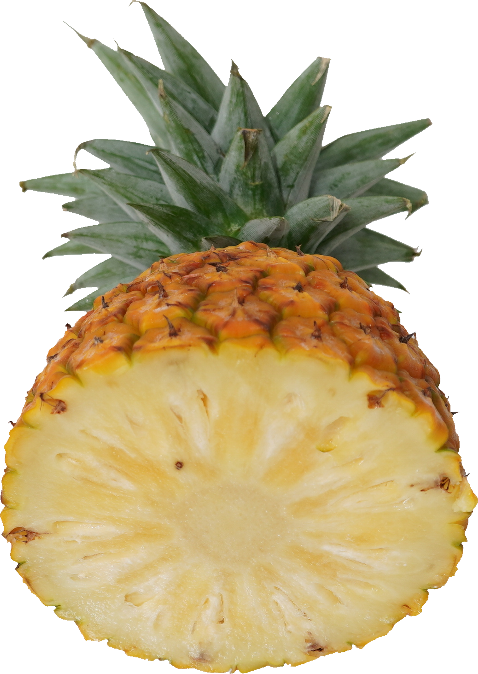 パインアップル（サンドルチェ）｜商用可フリー画像・背景透過