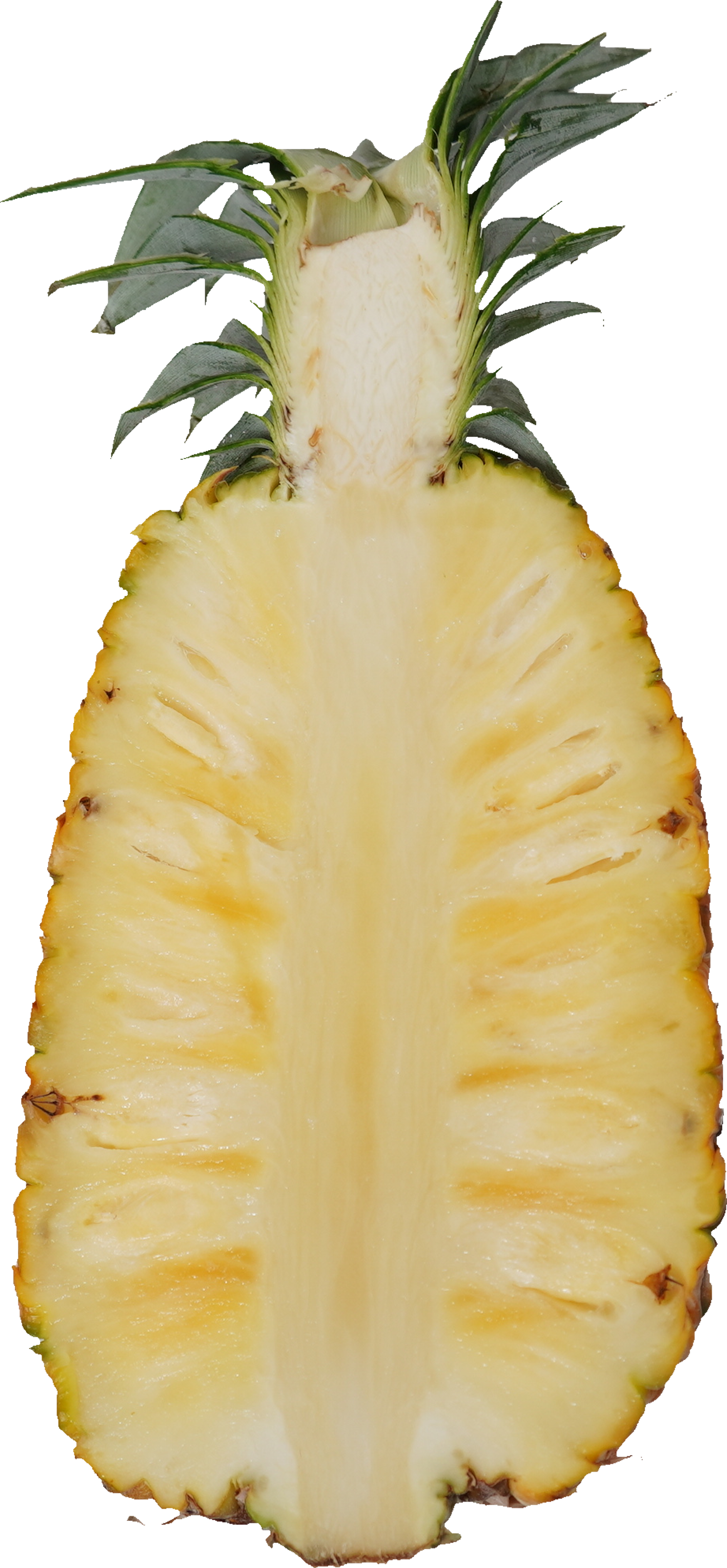 パインアップル（サンドルチェ）｜商用可フリー画像・背景透過