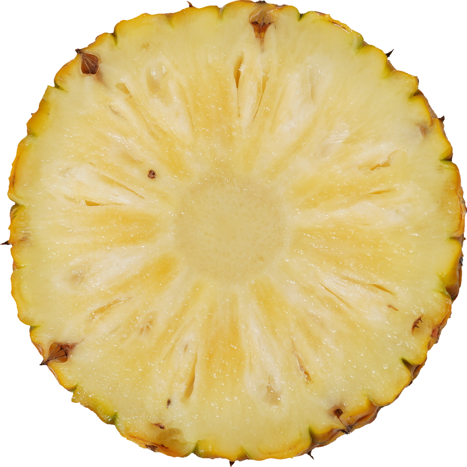 パインアップル（サンドルチェ）｜商用可フリー画像・背景透過