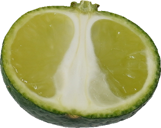 シークヮーサー｜商用可フリー画像・背景透過