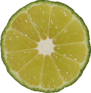 シークヮーサー｜商用可フリー画像・背景透過
