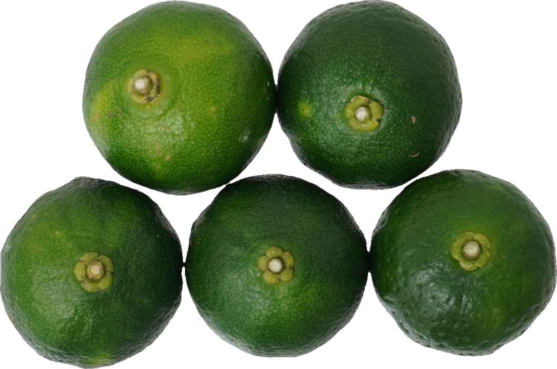 シークヮーサー｜商用可フリー画像・背景透過