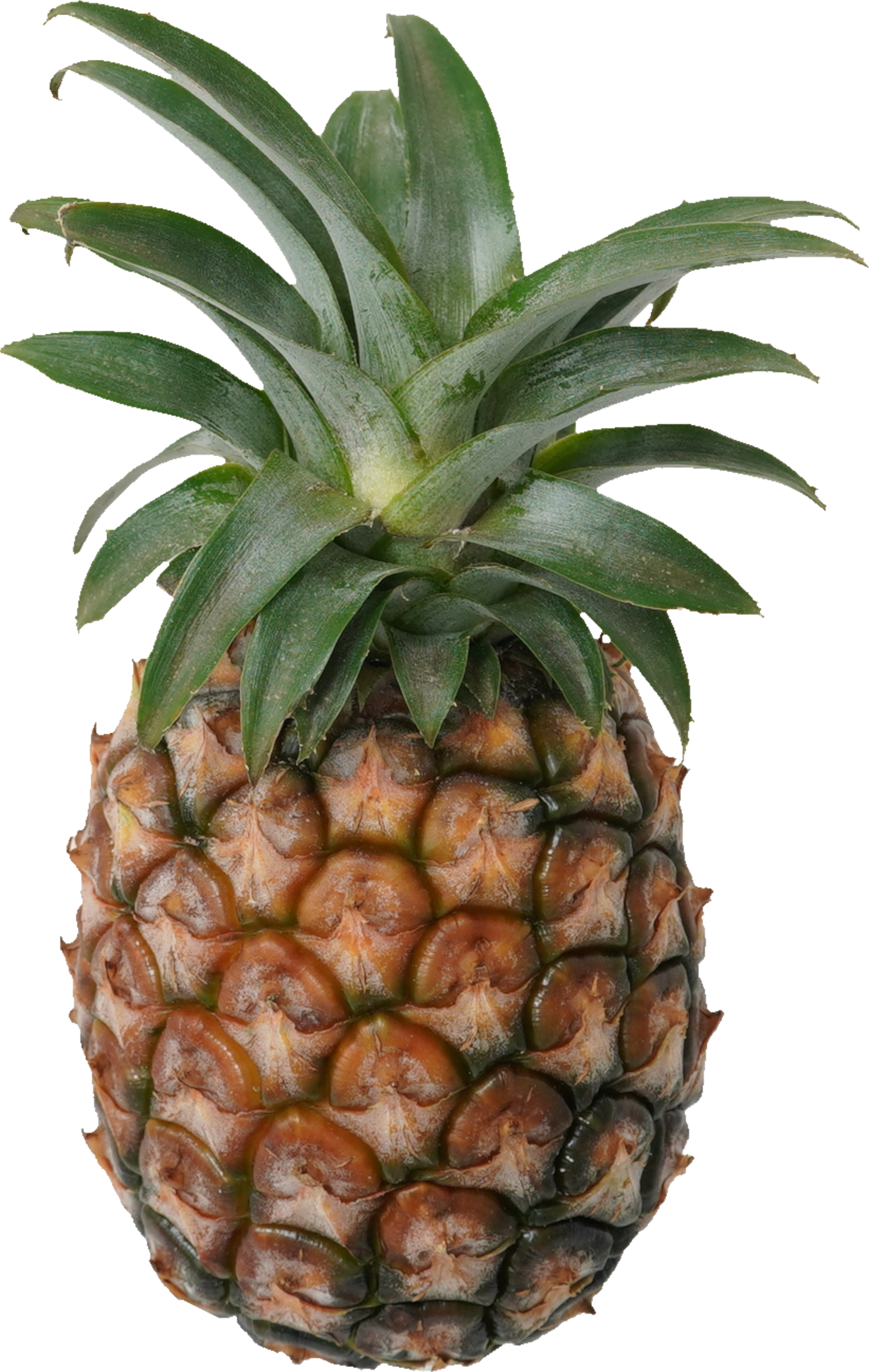 パインアップル（ピーチパイン）｜商用可フリー画像・背景透過