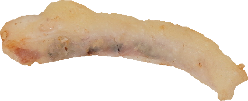 天ぷら（いか）｜商用可フリー画像・背景透過