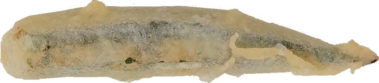 天ぷら（オクラ）｜商用可フリー画像・背景透過