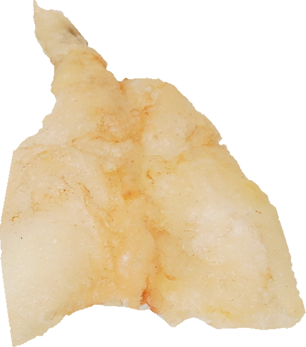 天ぷら（きす）｜商用可フリー画像・背景透過