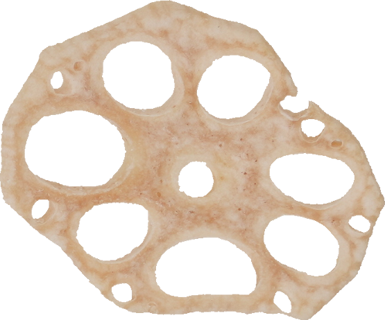 れんこんチップス｜商用可フリー画像・背景透過