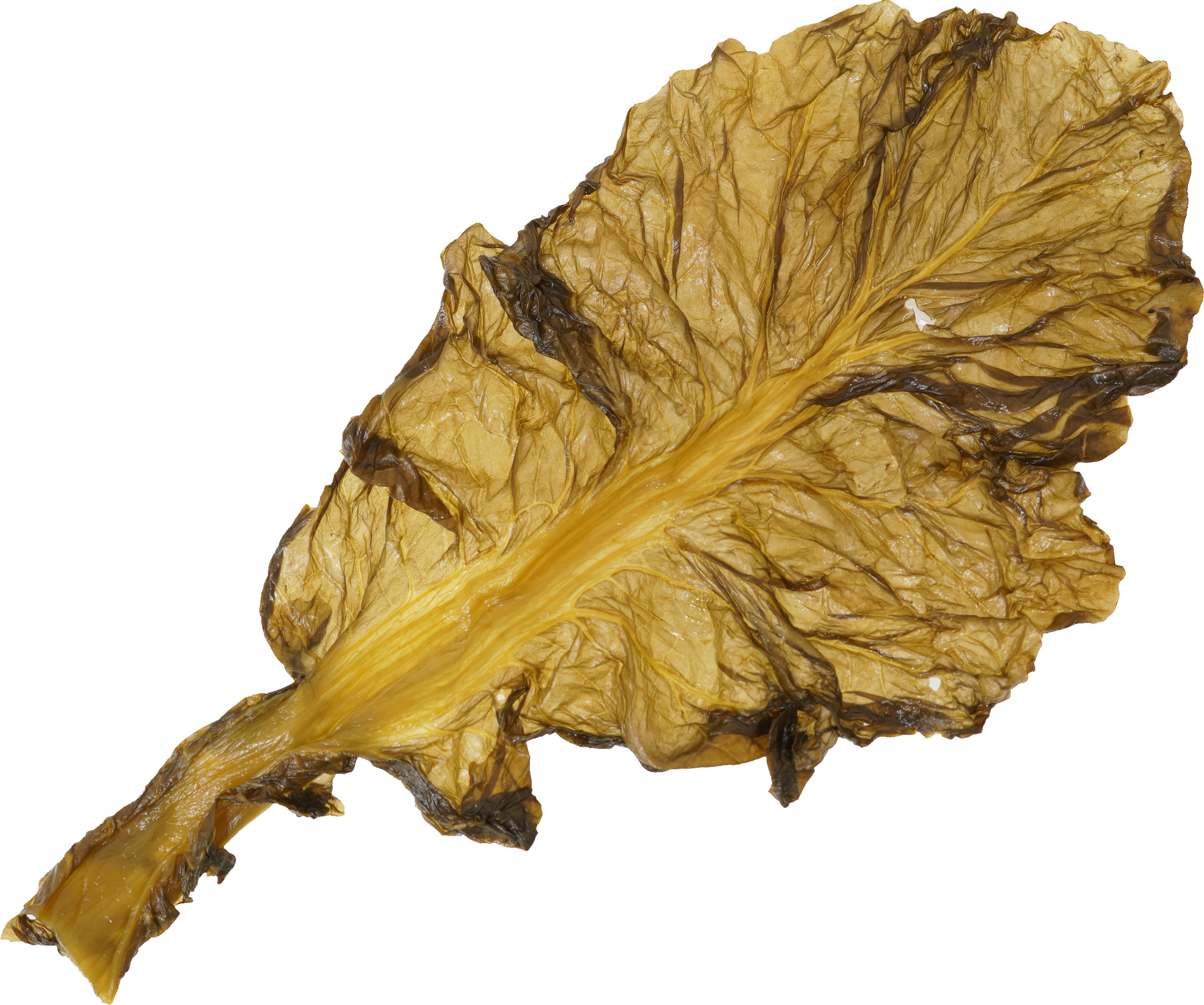 高菜漬け｜商用可フリー画像・背景透過