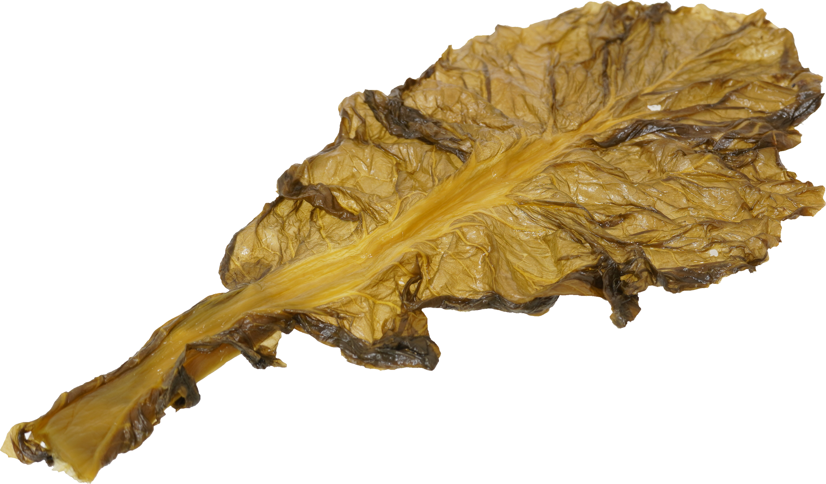 高菜漬け｜商用可フリー画像・背景透過